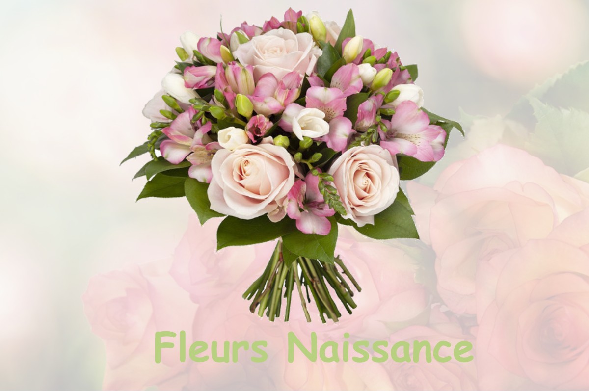 fleurs naissance VER-LES-CHARTRES