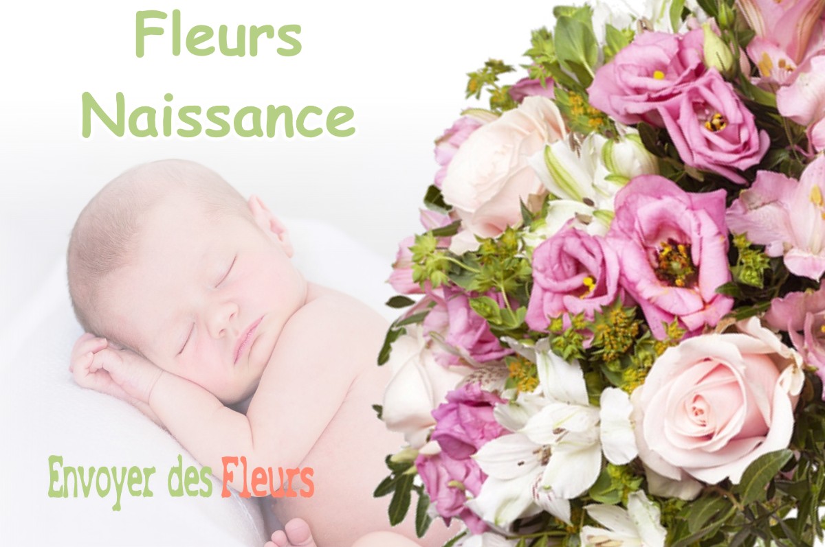 lIVRAISON FLEURS NAISSANCE à VER-LES-CHARTRES